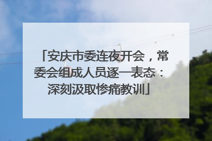 安庆市委连夜开会，常委会组成人员逐一表态：深刻汲取惨痛教训