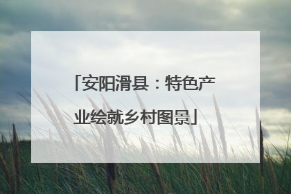 安阳滑县：特色产业绘就乡村图景