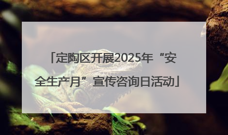 定陶区开展2025年“安全生产月”宣传咨询日活动