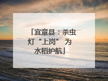宜章县：杀虫灯“上岗” 为水稻护航