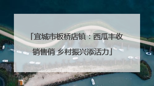 宜城市板桥店镇：西瓜丰收销售俏 乡村振兴添活力