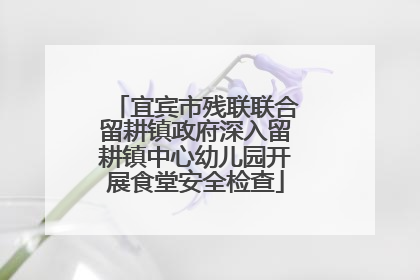 宜宾市残联联合留耕镇政府深入留耕镇中心幼儿园开展食堂安全检查