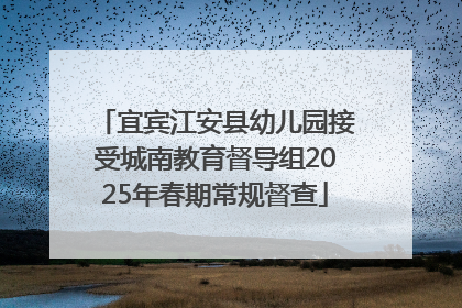 宜宾江安县幼儿园接受城南教育督导组2025年春期常规督查