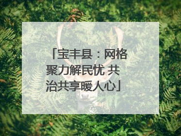 宝丰县：网格聚力解民忧 共治共享暖人心