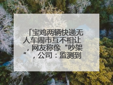 宝鸡两辆快递无人车闹市互不相让，网友称像“吵架”，公司：监测到异常会有技术或人为干预处置