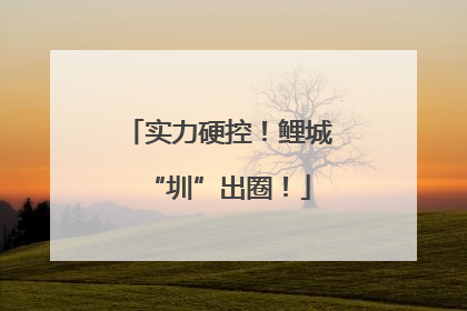 实力硬控！鲤城“圳”出圈！