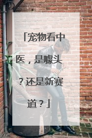 宠物看中医，是噱头？还是新赛道？