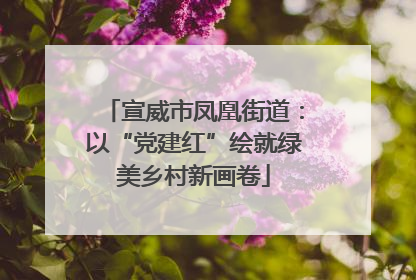 宣威市凤凰街道：以“党建红”绘就绿美乡村新画卷