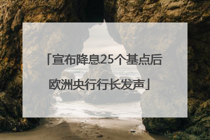 宣布降息25个基点后 欧洲央行行长发声