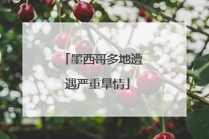 墨西哥多地遭遇严重旱情