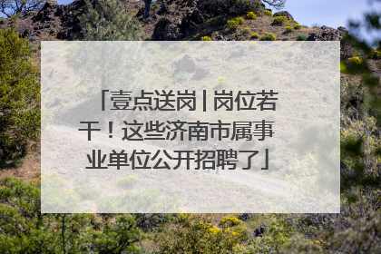 壹点送岗│岗位若干！这些济南市属事业单位公开招聘了