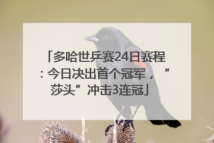 多哈世乒赛24日赛程：今日决出首个冠军，“莎头”冲击3连冠