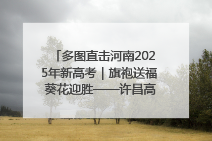多图直击河南2025年新高考｜旗袍送福 葵花迎胜——许昌高考首日拉开帷幕