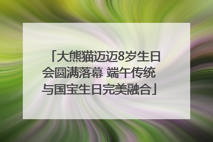 大熊猫迈迈8岁生日会圆满落幕 端午传统与国宝生日完美融合