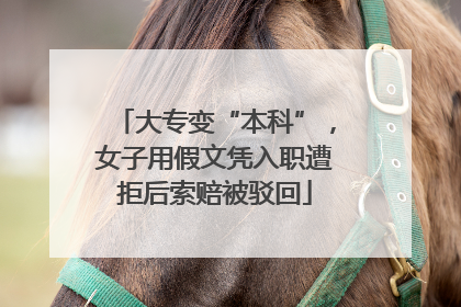 大专变“本科”，女子用假文凭入职遭拒后索赔被驳回