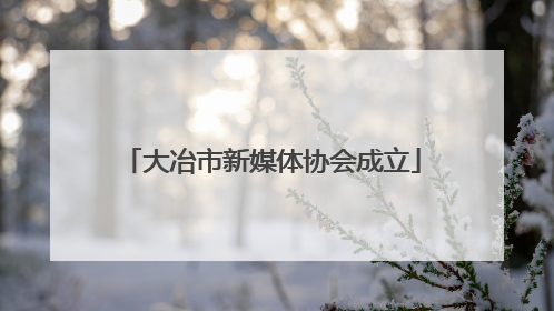 大冶市新媒体协会成立