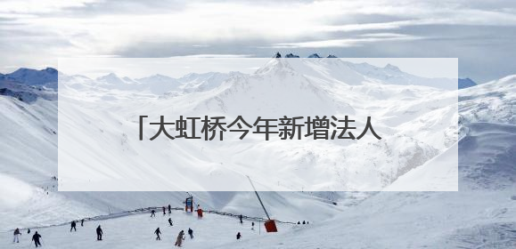 大虹桥今年新增法人企业数同比增20.6%！“走进虹桥 走进进博”活动举办