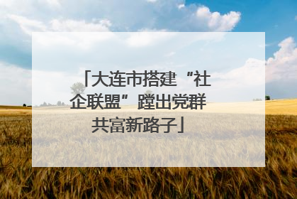 大连市搭建“社企联盟”蹚出党群共富新路子