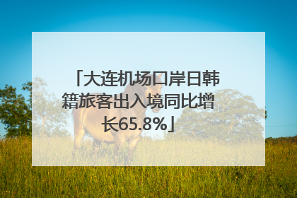 大连机场口岸日韩籍旅客出入境同比增长65.8%