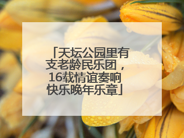 天坛公园里有支老龄民乐团，16载情谊奏响快乐晚年乐章