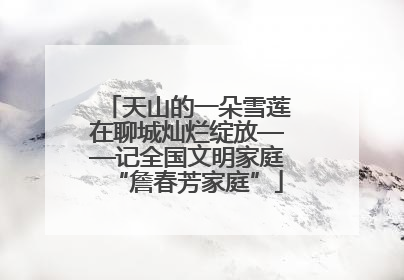 天山的一朵雪莲在聊城灿烂绽放——记全国文明家庭“詹春芳家庭”