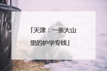 天津：一条大山里的护学专线