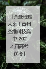 奔赴璀璨未来！青州圣维科技高中 2022 届高考送考