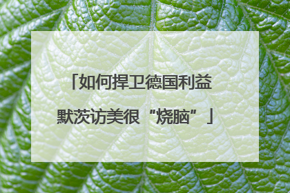 如何捍卫德国利益 默茨访美很“烧脑”
