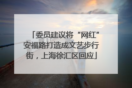 委员建议将“网红”安福路打造成文艺步行街，上海徐汇区回应