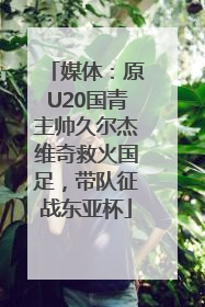 媒体：原U20国青主帅久尔杰维奇救火国足，带队征战东亚杯