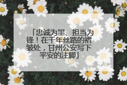 忠诚为墨、担当为锋！在千年丝路的褶皱处，甘州公安写下平安的注脚