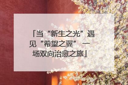 当“新生之光”遇见“希望之翼” 一场双向治愈之旅
