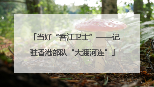 当好“香江卫士”——记驻香港部队“大渡河连”