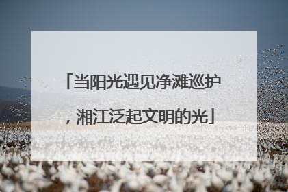 当阳光遇见净滩巡护，湘江泛起文明的光