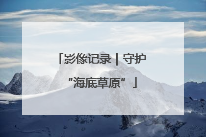 影像记录｜守护“海底草原”