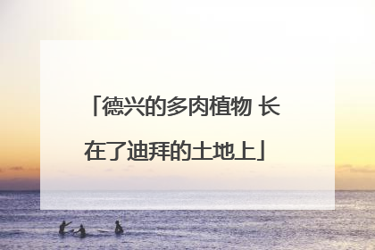 德兴的多肉植物 长在了迪拜的土地上