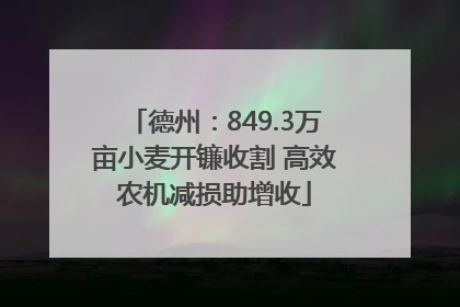 德州：849.3万亩小麦开镰收割 高效农机减损助增收
