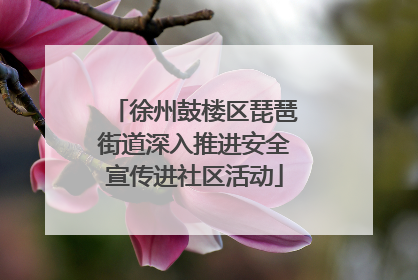 徐州鼓楼区琵琶街道深入推进安全宣传进社区活动