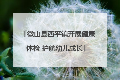 微山县西平镇开展健康体检 护航幼儿成长
