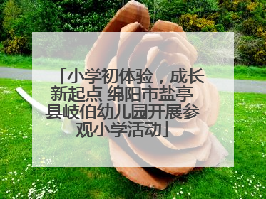 小学初体验，成长新起点 绵阳市盐亭县岐伯幼儿园开展参观小学活动