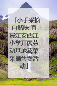 小手采摘自然味 宜宾江安西江小学开展劳动基地蔬菜采摘售卖活动