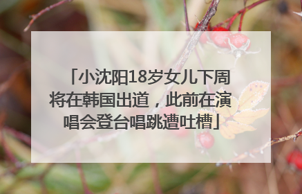 小沈阳18岁女儿下周将在韩国出道，此前在演唱会登台唱跳遭吐槽