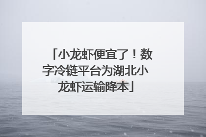 小龙虾便宜了！数字冷链平台为湖北小龙虾运输降本