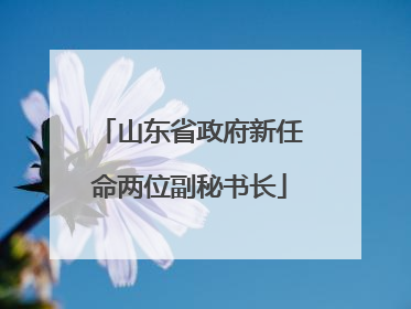 山东省政府新任命两位副秘书长