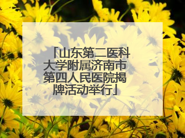 山东第二医科大学附属济南市第四人民医院揭牌活动举行
