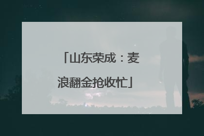 山东荣成：麦浪翻金抢收忙