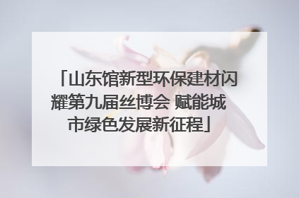 山东馆新型环保建材闪耀第九届丝博会 赋能城市绿色发展新征程