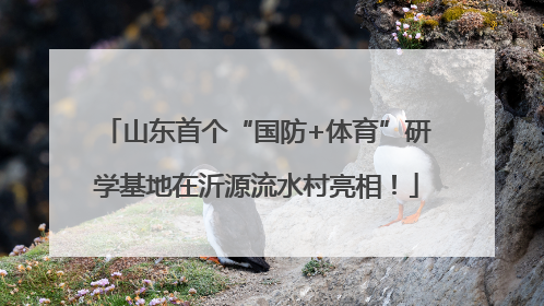 山东首个“国防+体育”研学基地在沂源流水村亮相！