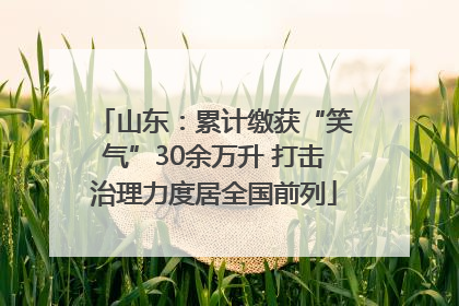 山东：累计缴获“笑气”30余万升 打击治理力度居全国前列