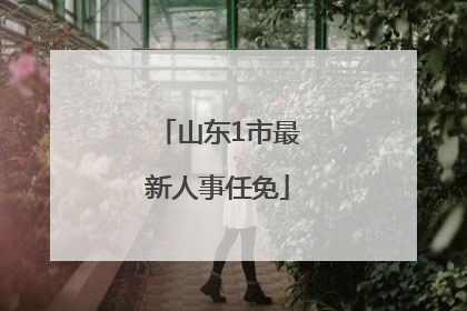山东1市最新人事任免